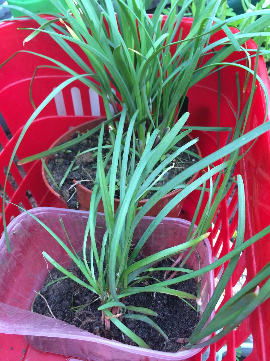 2014-04-20 08-40-35.JPG